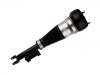 减振器 Shock Absorber:222 320 47 13