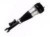 减振器 Shock Absorber:222 320 48 13