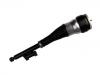 减振器 Shock Absorber:222 320 53 13