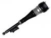减振器 Shock Absorber:222 320 59 01