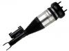 Amortisseur Shock Absorber:205 320 48 68